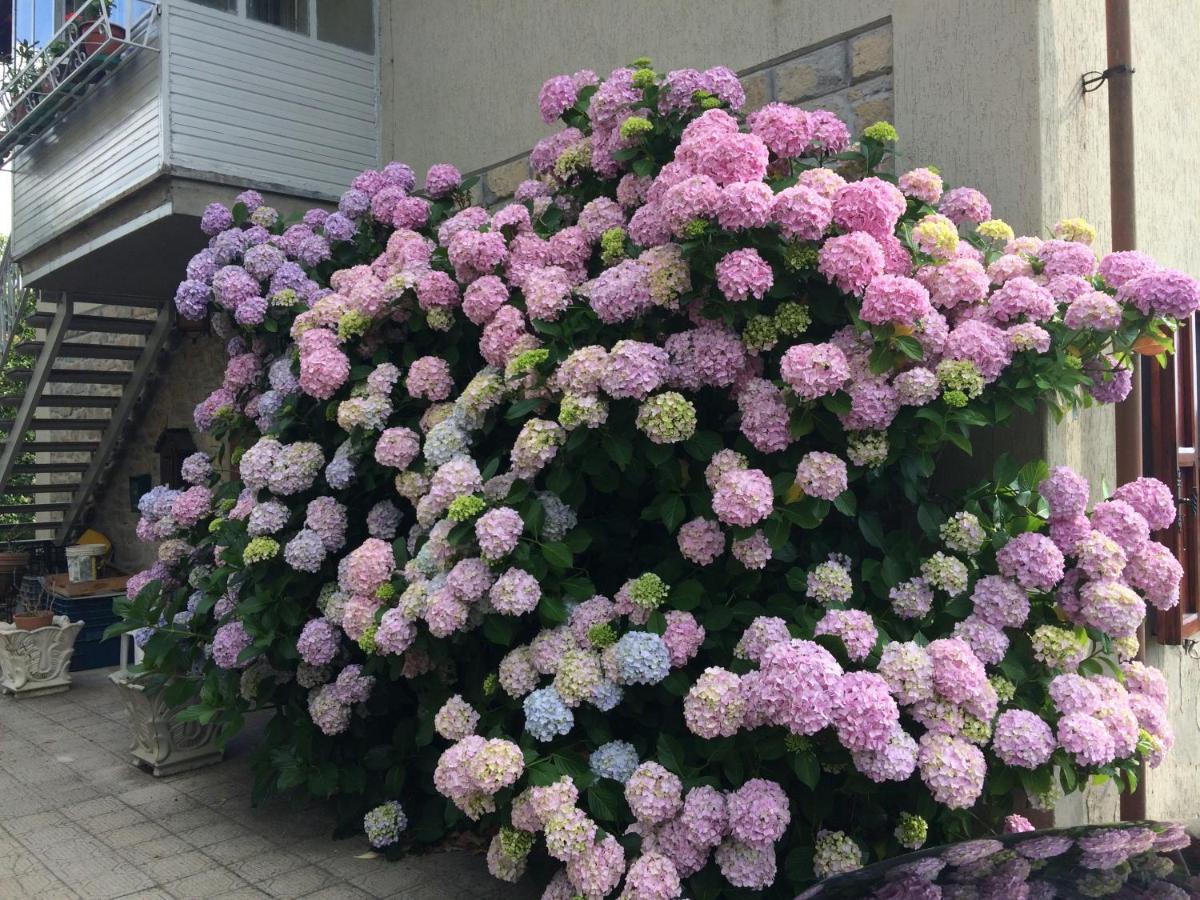 Casa Ortensia 丘西-德拉弗娜 外观 照片
